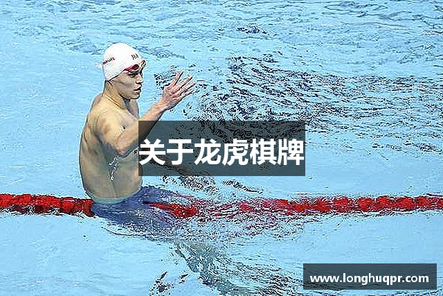 关于龙虎棋牌